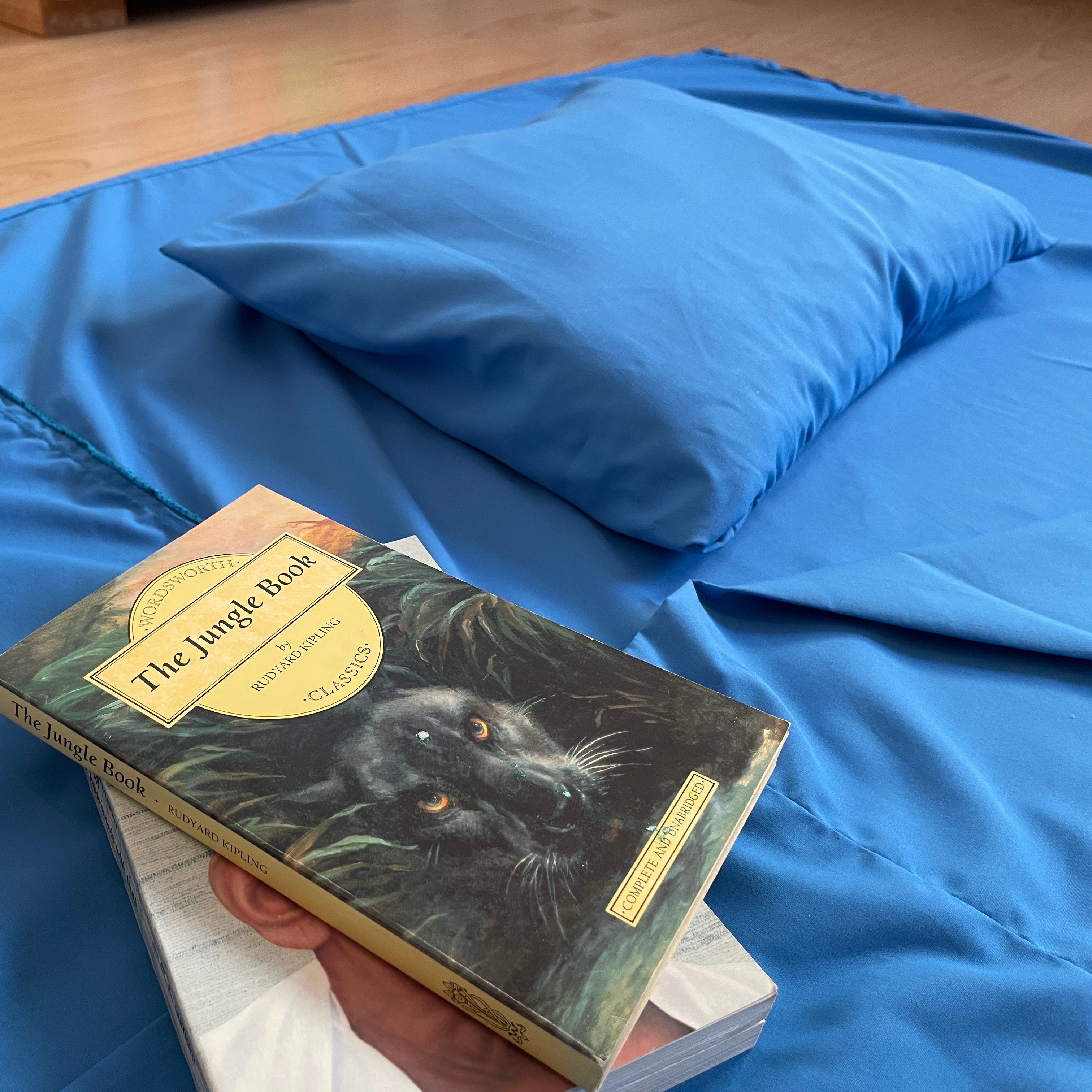 Books on top of a blue sleeping liner
