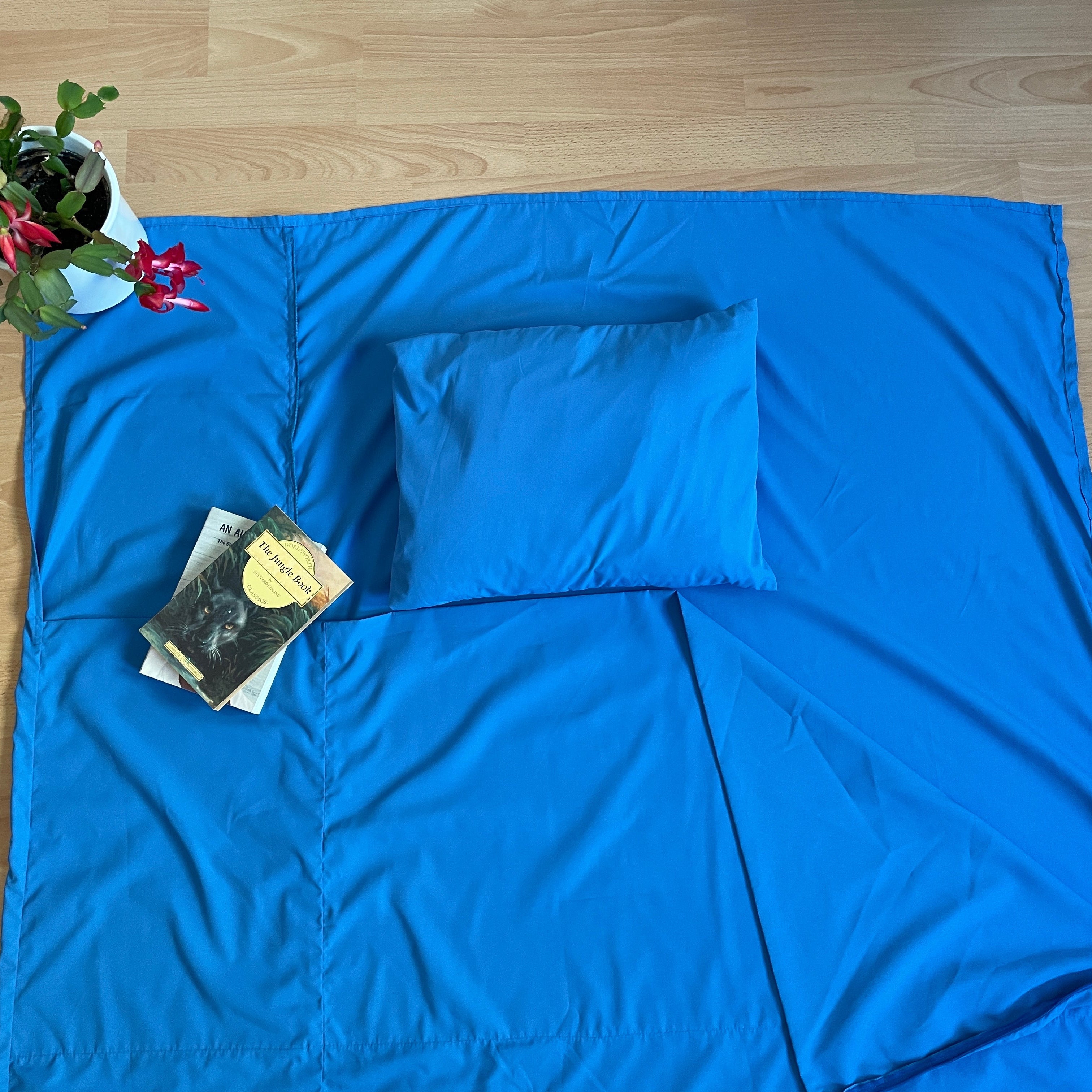 Blue sleeping bag on a wooden floor with a plant and book